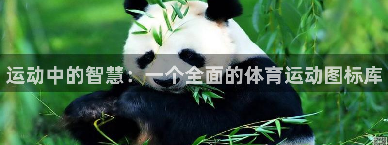 球王会体育：运动中的智慧：一个全面的体育运动图标库