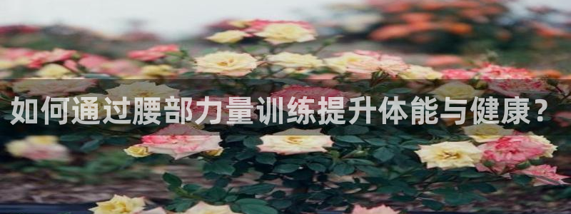 球王会体育：如何通过腰部力量训练提升体能与健康？
