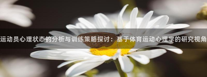 球王会体育：运动员心理状态的分析与训练策略探讨：基于体育运动心理学的研究视角