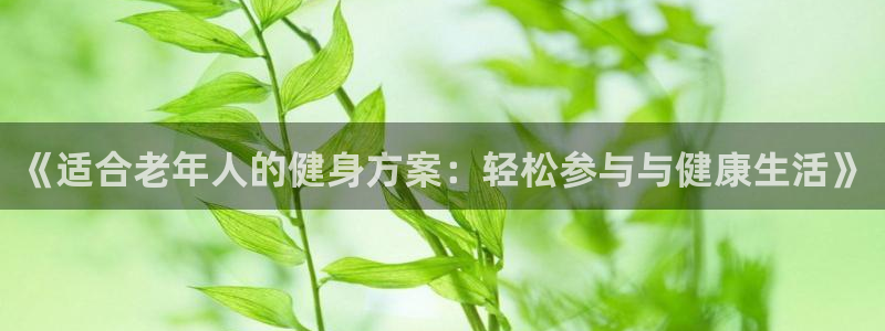球王会体育：《适合老年人的健身方案：轻松参与与健康生活》