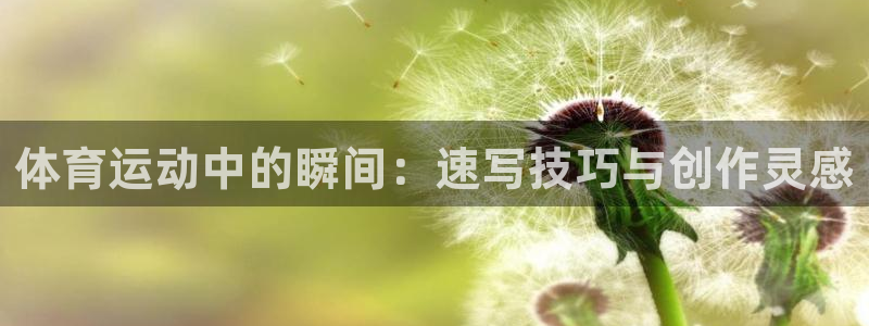 球王会体育：体育运动中的瞬间：速写技巧与创作灵感