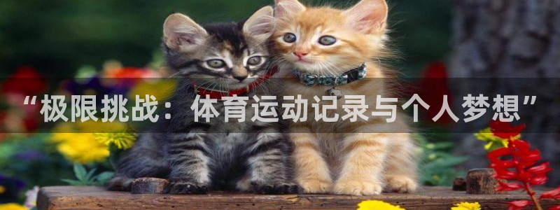 球王会体育：“极限挑战：体育运动记录与个人梦想”
