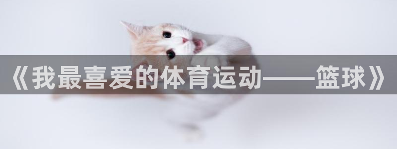 球王会体育：《我最喜爱的体育运动——篮球》