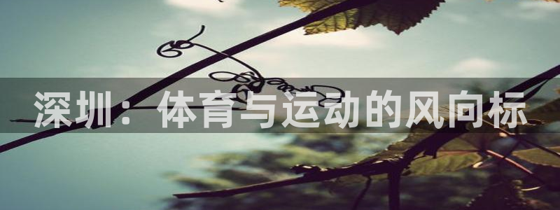 球王会体育：深圳：体育与运动的风向标