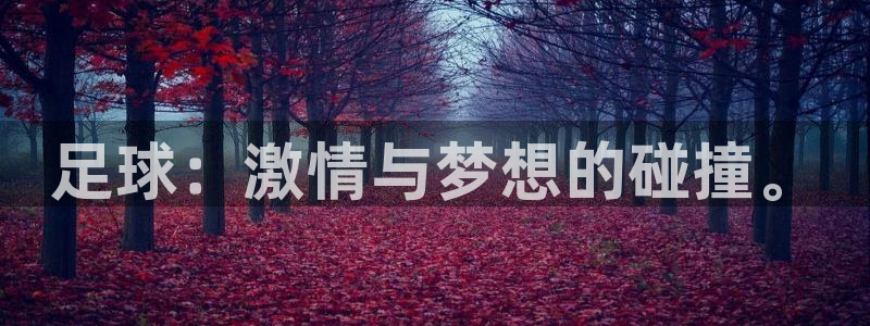 球王会体育：足球：激情与梦想的碰撞。