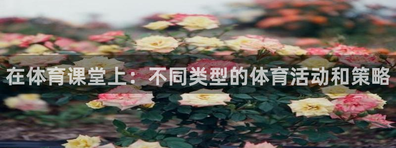球王会体育：在体育课堂上：不同类型的体育活动和策略